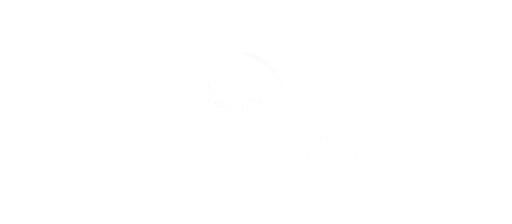 disney hotstar